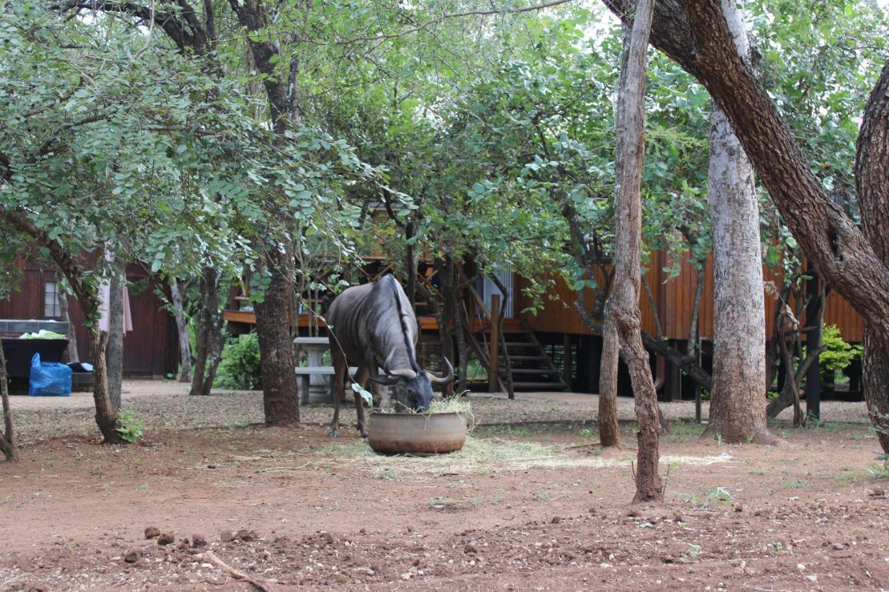 Ferienhaus Bush Break @ 3990 Marloth Park